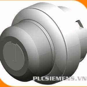Safety keyswitch 6AV7674-1ME50-0AA0 22mm 2NO 2 vị trí an toàn